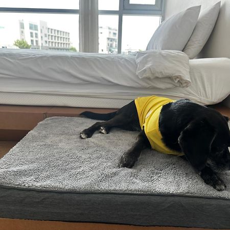 Bedradio Dodubong Hotel Togŭnnae Kültér fotó