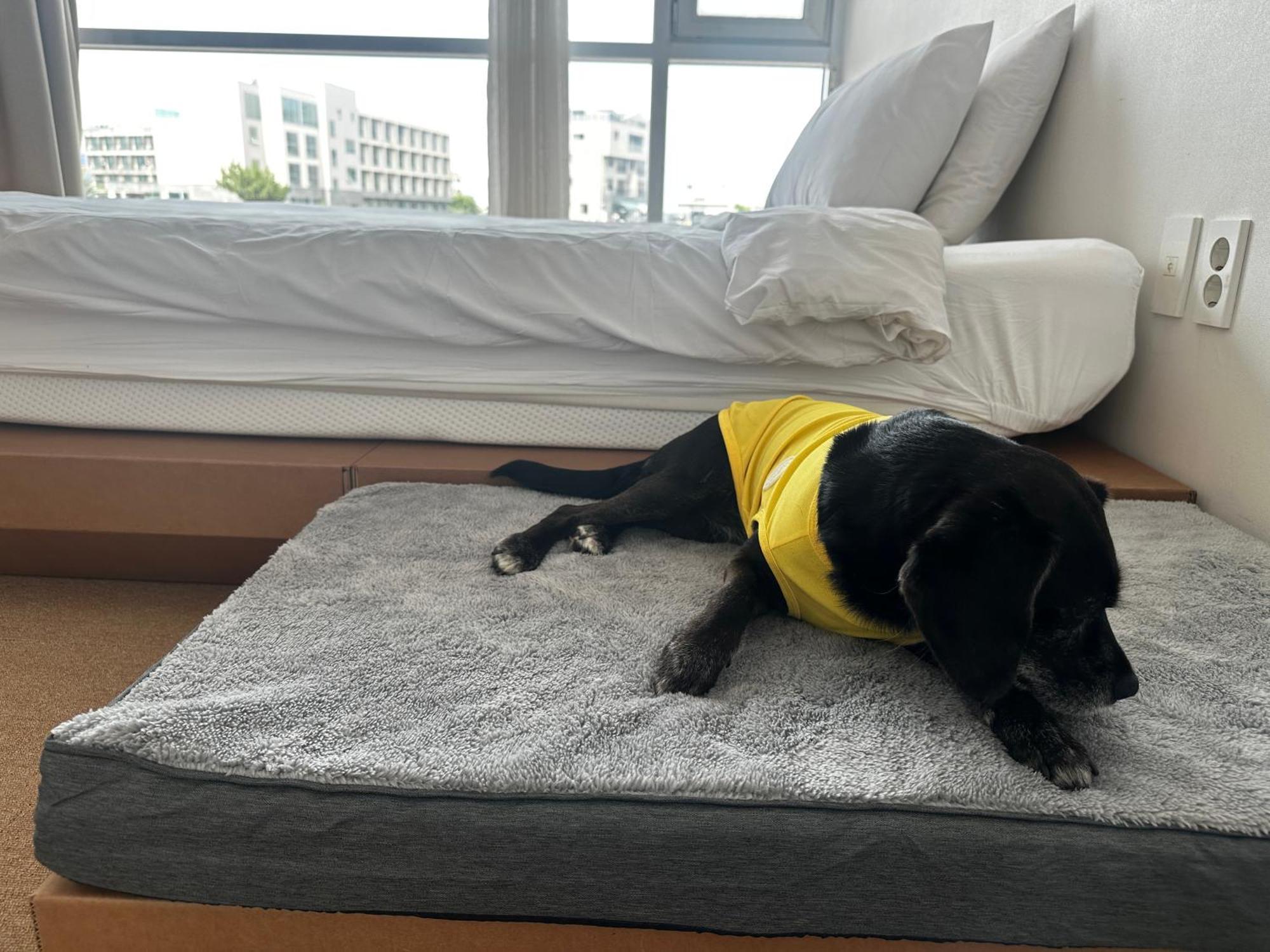 Bedradio Dodubong Hotel Togŭnnae Kültér fotó